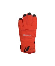 phenix/phenix フェニックス Thunderbolt Gloves ACC サンダーボルト グローブ ゴアテックス スキーウェア【MENS】/505825951