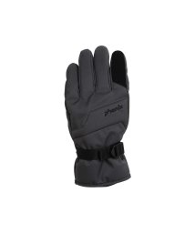 phenix/Phenix フェニックス Transcends Shade Gloves ACC トランセンドシェード グローブ 高耐水 スキーウェア【MENS】/505825954