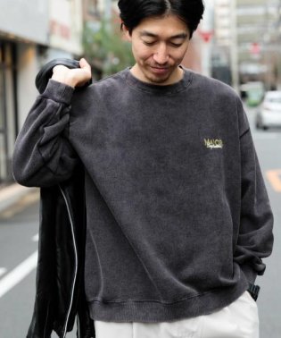 ITEMS URBANRESEARCH/パウダー加工 クルーネックスウェットプルオーバー/505828291