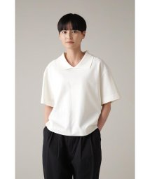 MARGARET HOWELL(マーガレット・ハウエル)/ORGANIC COTTON PIQUE/IVORY1