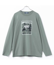 MAC HOUSE(men)/T－GRAPHICS ティーグラフィックス ボックスプリント長袖Tシャツ 432306MH/505833031