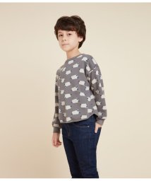 PETIT BATEAU/スウェットプリント長袖プルオーバー/505833710