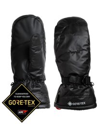 phenix/phenix(フェニックス)Super Space－Time Gloves GORE－TEX スーパースペースタイム グローブ ゴアテックス レディース スキー/505837596