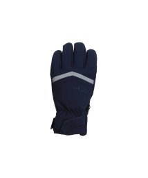 phenix(phenix)/phenix(フェニックス)Space Hunter Gloves GORE－TEX スペース ハンター グローブ ゴアテックス レディース スキー グローブ /ネイビー