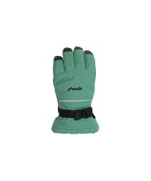 phenix(phenix)/phenix(フェニックス)Spacewalk Gloves スペースウォーク グローブ レディース スキー 手袋 5本指【WOMENS】/グリーン