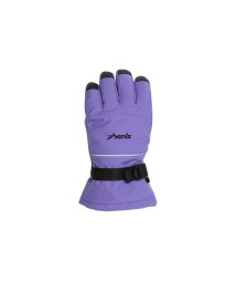 phenix(phenix)/phenix(フェニックス)Spacewalk Gloves スペースウォーク グローブ レディース スキー 手袋 5本指【WOMENS】/パープル