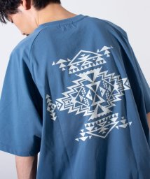 GLOSTER/【PENDLETON/ペンドルトン】バックプリント ラグランTシャツ ドロスト/505834081