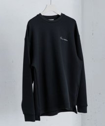 SENSE OF PLACE by URBAN RESEARCH/『一部WEB限定カラー』『ユニセックス』シシュウダンボールポンチロングTシャツ/505839580