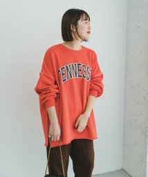 ITEMS URBANRESEARCH(アイテムズ アーバンリサーチ（レディース）)/裏起毛ロゴスウェット2/ORG