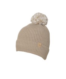 phenix/phenix(フェニックス)Transcends Shade Knit Hat トランセンズ シェイド ニット ハット レディース スキー ニット帽 キャップ /505837601