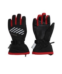phenix(phenix)/Phenix フェニックス Snow Satellite Junior Gloves スノー サテライト ジュニア スキー グローブ 手袋 防水 吸水 速乾【K/ブラック