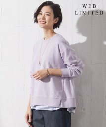 J.PRESS LADIES（LARGE SIZE）(J．プレス　レディス（大きいサイズ）)/【WEB限定】URAKE カットソー/ふじ色系