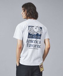 ABAHOUSE(ABAHOUSE)/【FRUIT OF THE LOOM】フロント＆バックプリント クルーネック シ/グレー系その他1