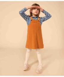 PETIT BATEAU/ベロアジャンパースカート/505845334