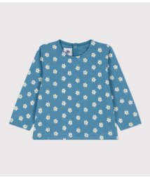 PETIT BATEAU/プリント長袖Ｔシャツ/505845336