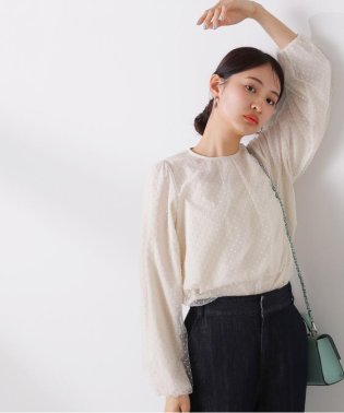 N Natural Beauty Basic/ドットチュールブラウス/505849426