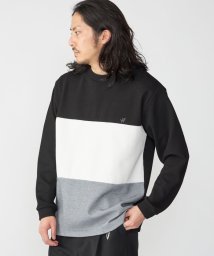 SHIPS MEN(シップス　メン)/*SHIPS: ワンポイント ロゴ 3パネル バーズアイ クルーネック ロングスリーブ Tシャツ/ブラック