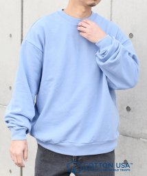 SHIPS any MEN(シップス　エニィ　メン)/SHIPS any: COTTON USA ルーズ クルーネック 裏毛 スウェット◇/ライトブルー