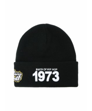 Mitchell & Ness/50th ヒップホップレジェンズ 1973 ニットキャップ BRANDED 1973 KNIT COLLAB/505851495