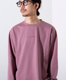 GLOSTER(GLOSTER)/【GLOSTER/グロスター】ボックスロゴ刺繍 ポンチ長袖Tシャツ/ピンク