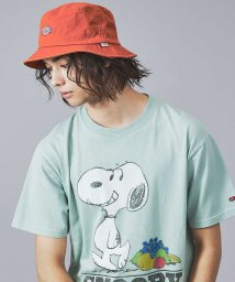 ABAHOUSE(ABAHOUSE)/【DICKIES/ディッキーズ】ICON BUCKET HAT/アイコンロゴバケ/テラコッタ