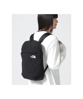 BEAVER/THE NORTH FACE/ザ・ノースフェイス　 Geoface Slim Pack/505859108