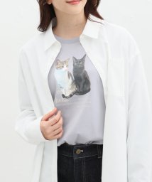 Honeys(ハニーズ)/フォトプリントＴシャツ/ブルー