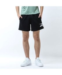 Reebok/クラッシック ビッグベクター ショーツ / CLASSIC BIG VECTOR SHORT /505873846