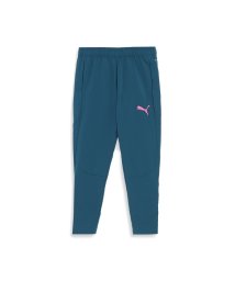 PUMA/メンズ サッカー INDIVIDUAL プーマフットボール プロ ニット パンツ/505874587