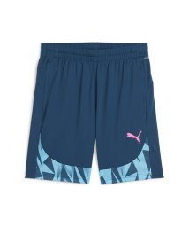 PUMA/メンズ サッカー INDIVIDUAL ファイナル ショーツ/505876649