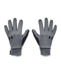 UNDER ARMOUR/UA STORM LINER GLOVES/505665215