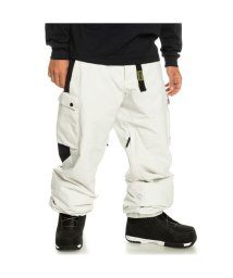 QUIKSILVER(クイックシルバー)/SNOW DOWN CARGO PT/SZT0