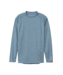 Hanes/INSECTSHIELD L/S T/505883505
