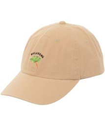 BILLABONG/CANVAS ONE POINT CAP/505884011