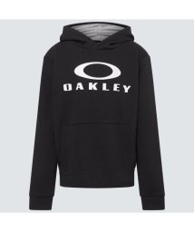 Oakley/ENHANCE QD FLEECE HOODIE YTR 4.0/505884460