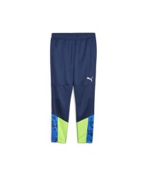 PUMA/INDIVIDUALCUP TR パンツ/505885873