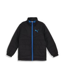 PUMA/ACTIVE SPORTS パデッド ジャ/505885965