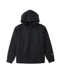 CHAMPION/HOODED SWEATSHIRT/505886364