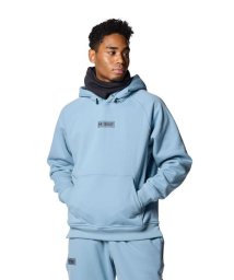 UNDER ARMOUR/UA DNA FLEECE PO HOODIE/505886639