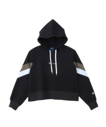 CHAMPION/TW TERRY ZIP HOODED SWEAT/505886876