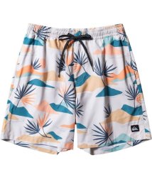 QUIKSILVER/EVERYDAY MIX VOLLEY 17NB/505888257