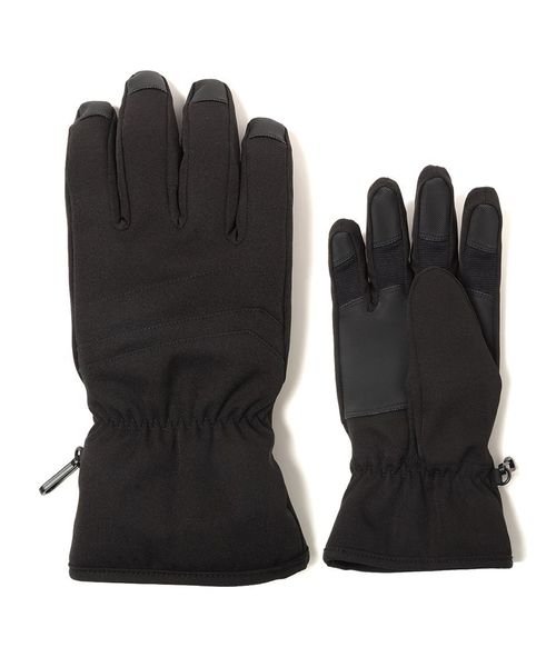 Alpine DESIGN(アルパインデザイン)/MENS SKI GLOVE/BLK