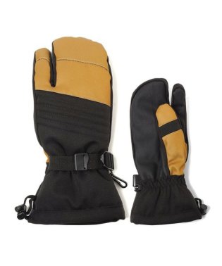 Alpine DESIGN/MENS SKI GLOVE 3F/505888282