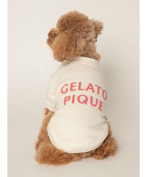 GELATO PIQUE CAT＆DOG(GELATO PIQUE CAT＆DOG)/【CAT&DOG】【販路限定商品】裏毛プルオーバー/PNK