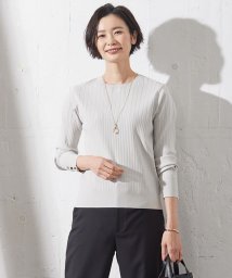 J.PRESS LADIES（LARGE SIZE）(J．プレス　レディス（大きいサイズ）)/【洗える】RAYON STRETCH PLAIN クルーネック ニット/ライトグレー系