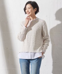 J.PRESS LADIES（LARGE SIZE）/【洗える】GIZA MERCERIZE COTTON ケーブル ニット/505891653