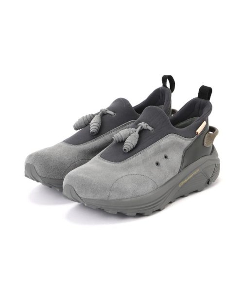 Hender Scheme/エンダースキーマ/species Hender また