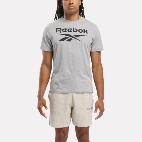 Reebok(リーボック)/リーボック アイデンティティ ビッグロゴ Tシャツ / REEBOK IDENTITY BIG LOGO TEE /グレー