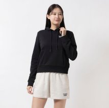 Reebok/フレンチテリー スモールロゴ フーディー / RI SL FRENCH TERRY HOODIE /505895082