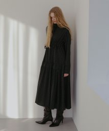 MIELI INVARIANT(ミエリ インヴァリアント)/Frill Stand Gather Dot Dress/ブラック